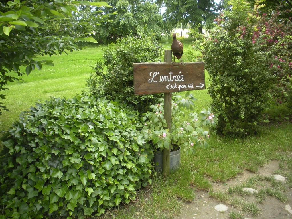 Bed and Breakfast Ferme Saint Joseph à Le Fousseret Extérieur photo